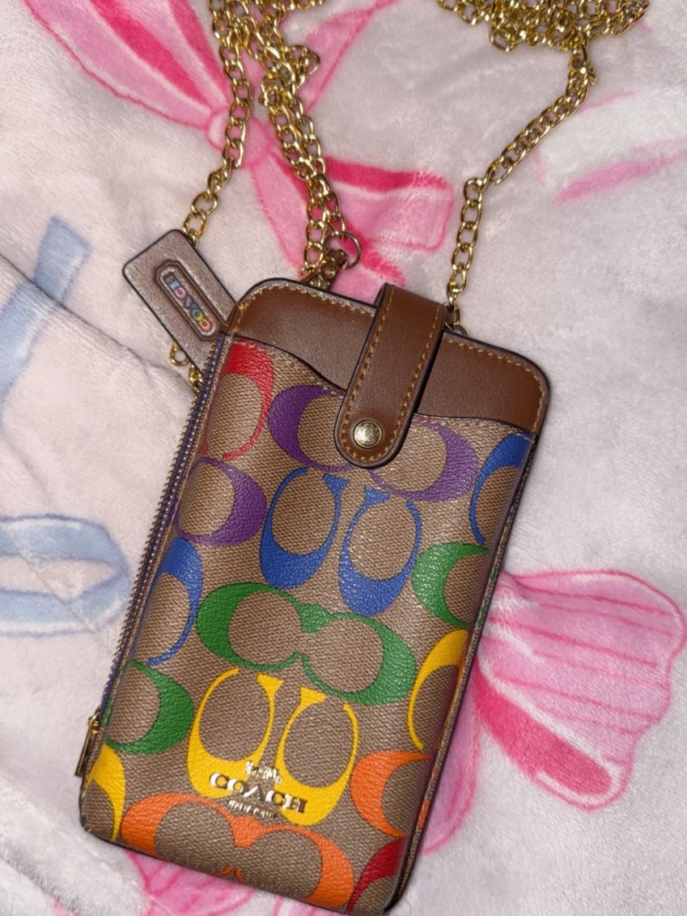 Coach Brown Signature Chain Card Case